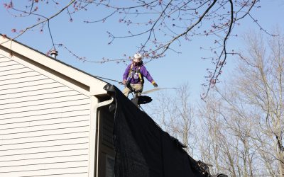 Columbus Home Trends: Discovering the Most Popular Siding Colors